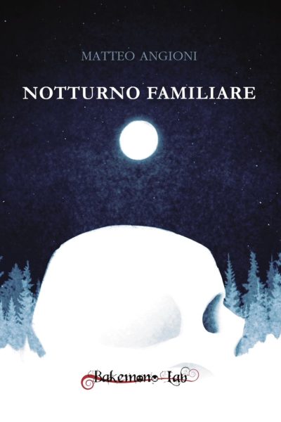 NOTTURNO FAMILIARE di Matteo Angioni